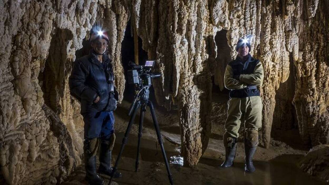 Las arañas prehistóricas de Tasmania
