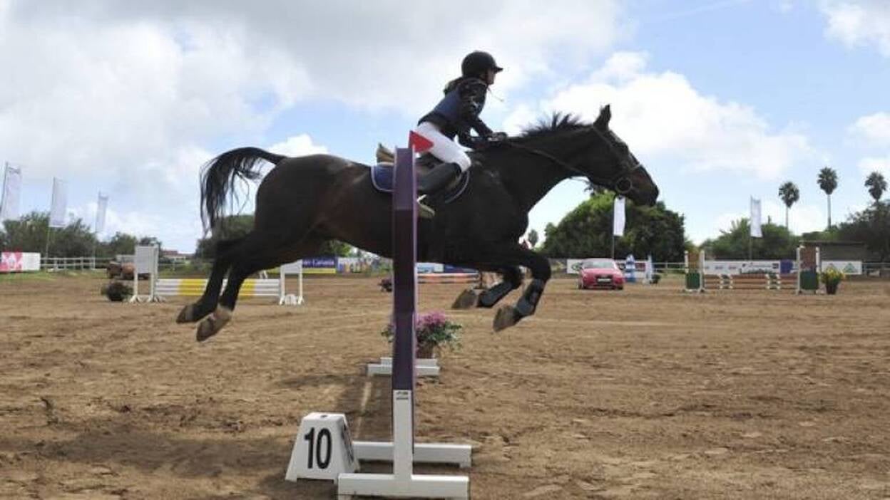 Cuenta atrás para la Copa Audi
