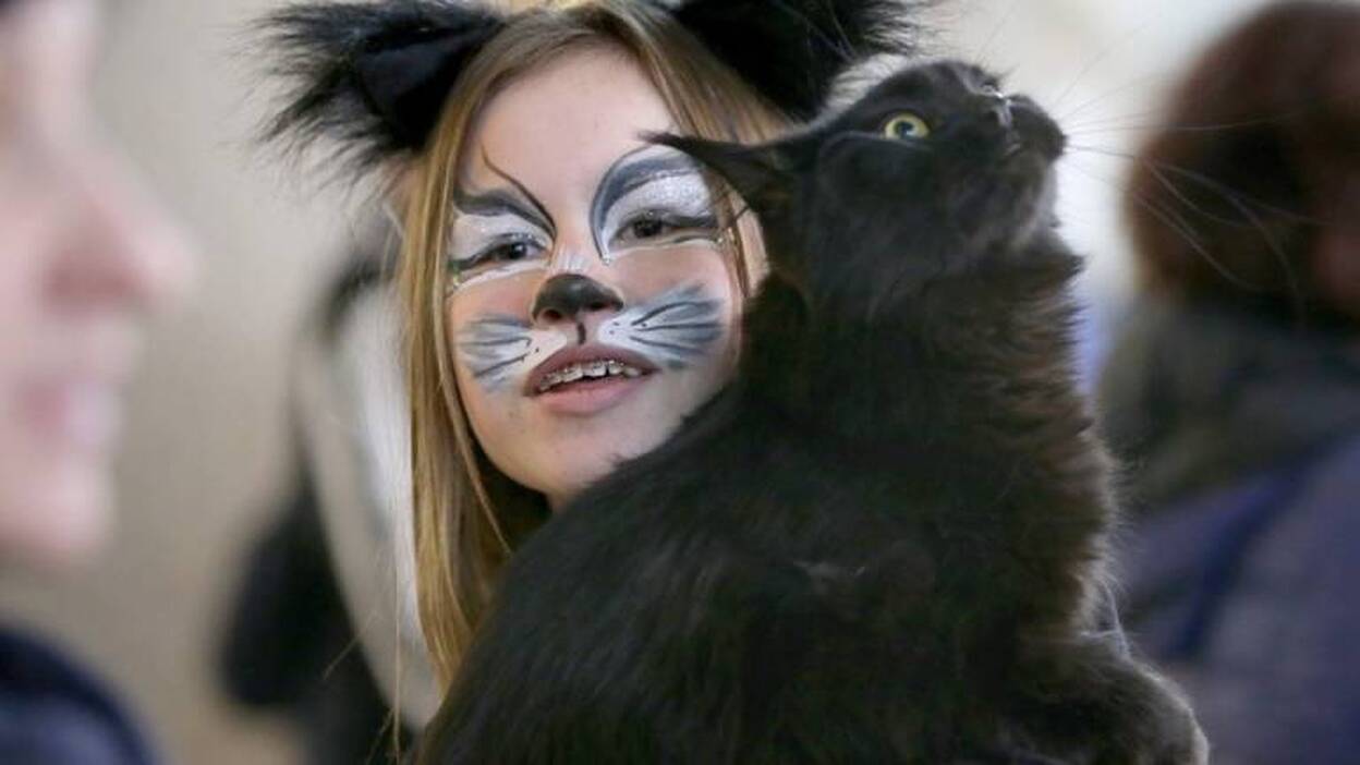 Amantes de los gatos