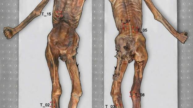 La momia de Ötzi, el Hombre de Hielo, presenta 61 tatuajes