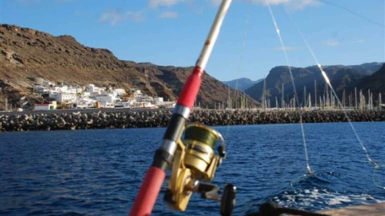Alertan de que Canarias ha perdido en 40 años el 90 % de sus peces
