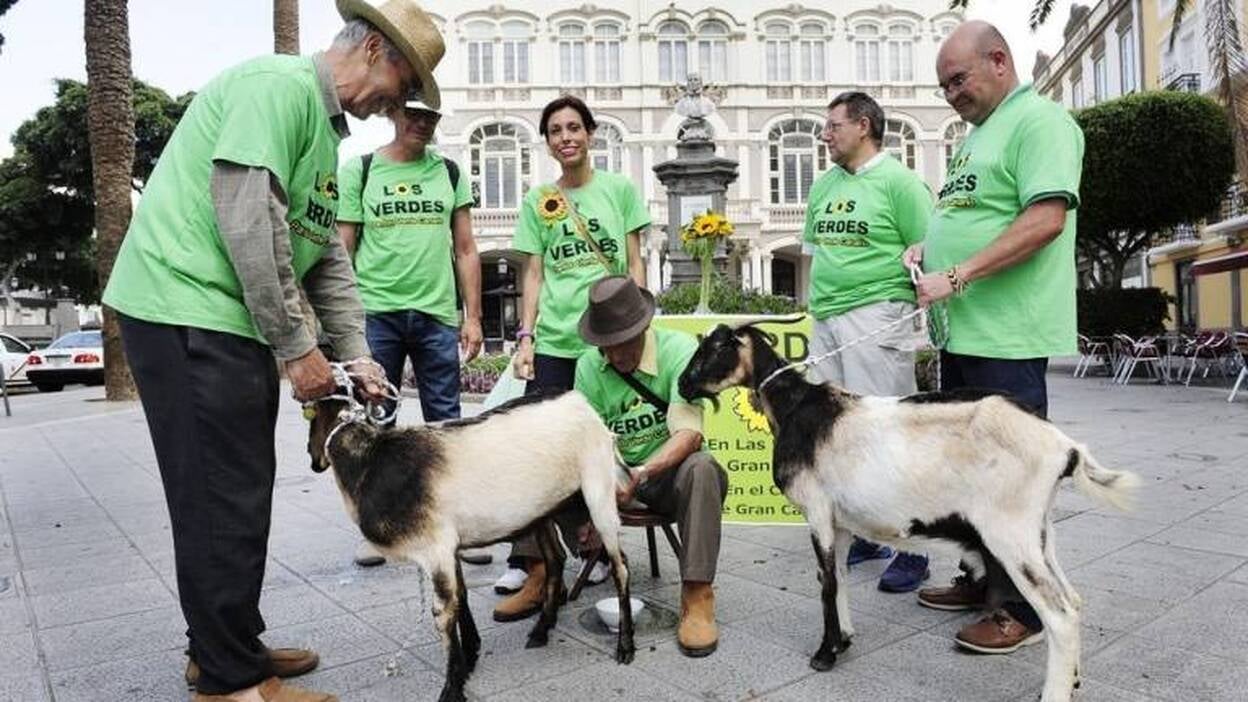 Las cabras votan a Los Verdes