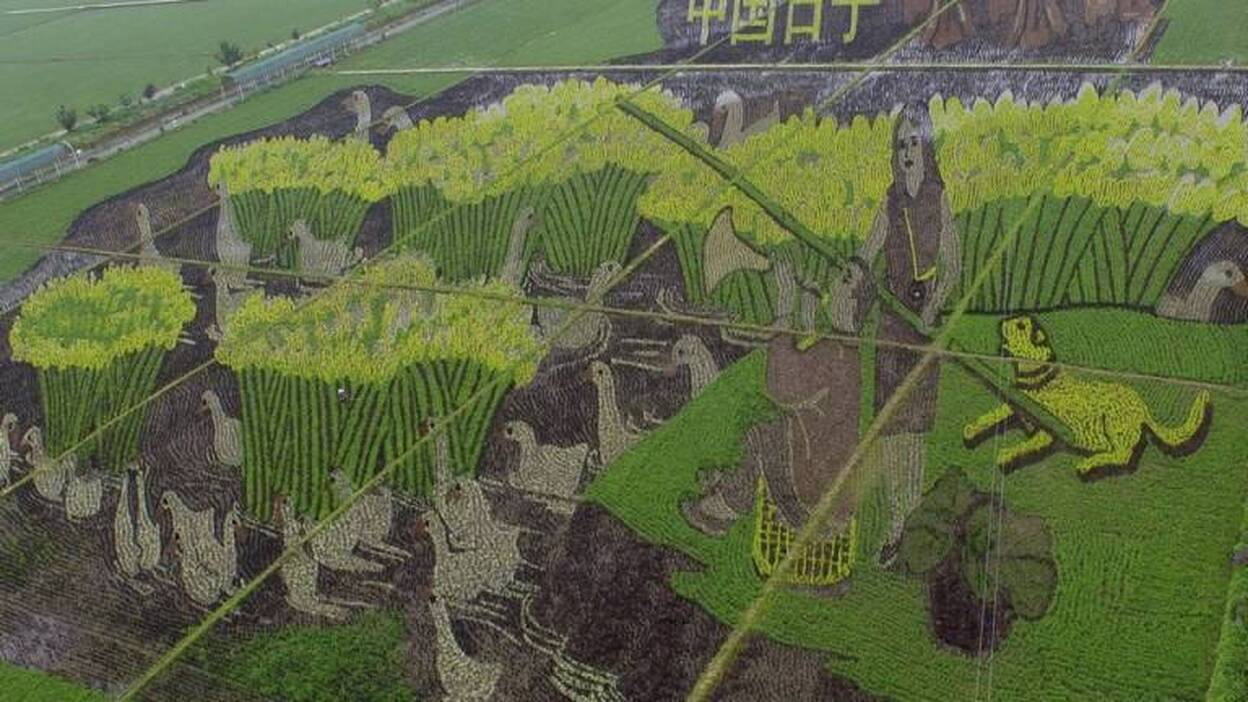 Arte 3D en el campo