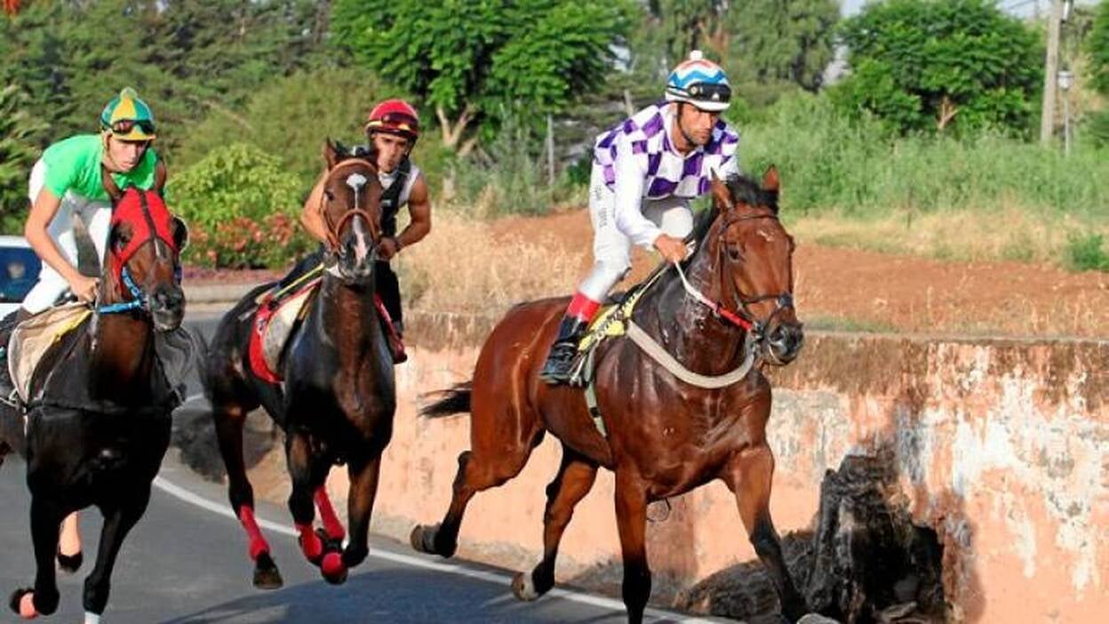 Festejos quiere recuperar las carreras de caballos urbanas