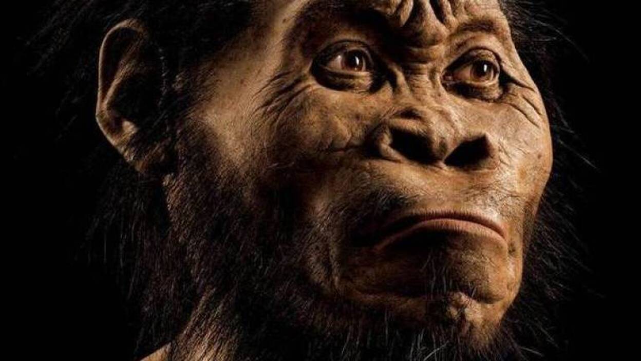 Homo naledi, una nueva especie de homo con rasgos de Australopithecus