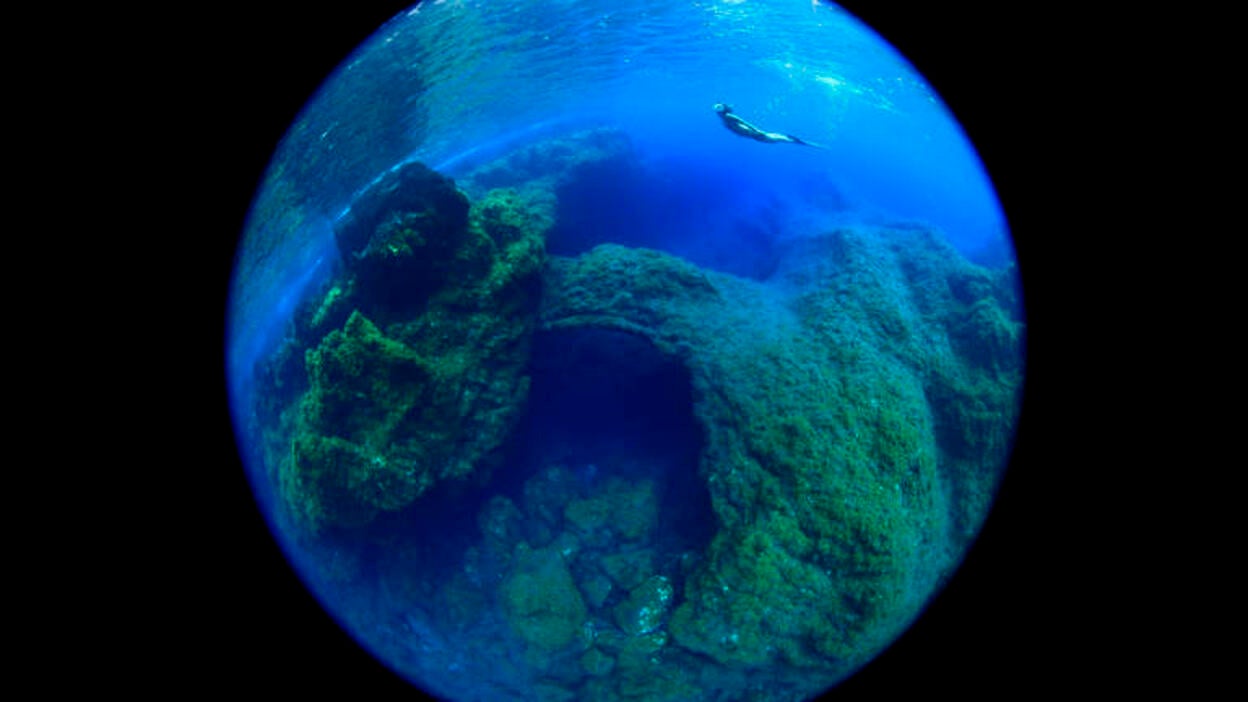 El Cabildo promocionará los valores naturales marinos de El Hierro