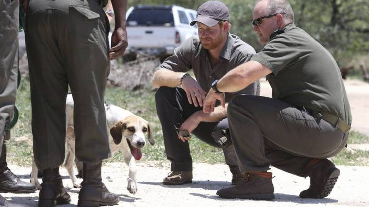 El príncipe Enrique divulga fotografías de su visita a África