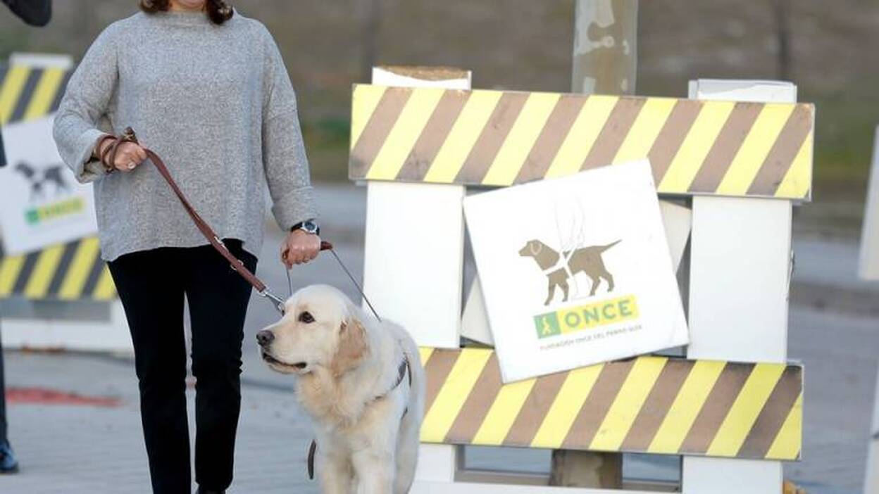 Santamaría 'a ciegas' con un perro guía