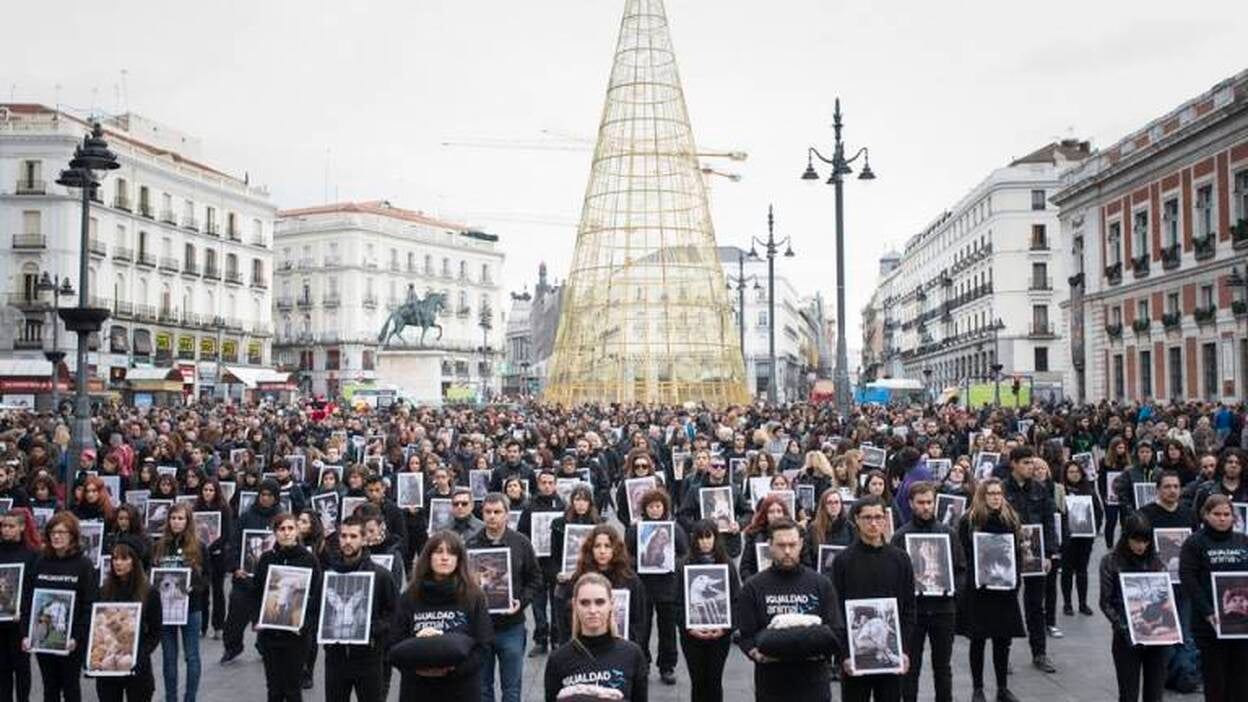 Fotografías de animales muertos para reivindicar sus derechos