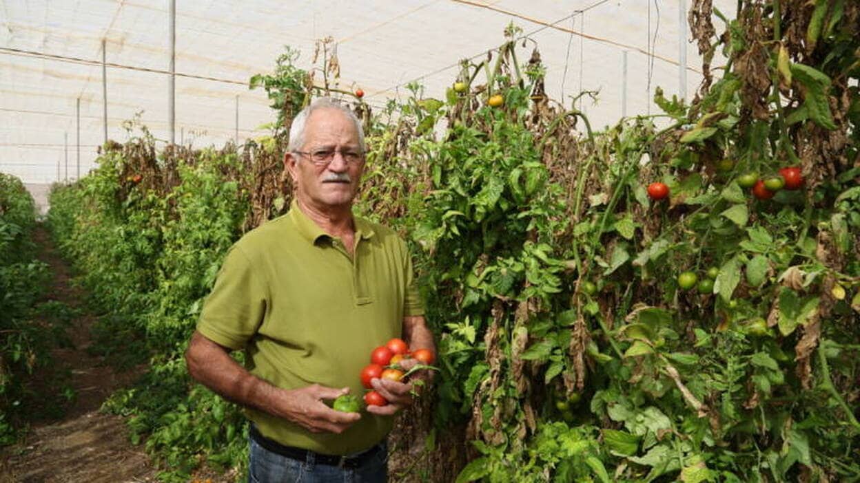 Mariano de León: "Yo escapé plantando tomateros"