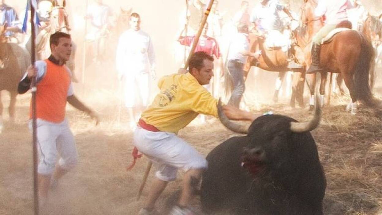 Entra en vigor la prohibición de dar muerte al Toro de la Vega