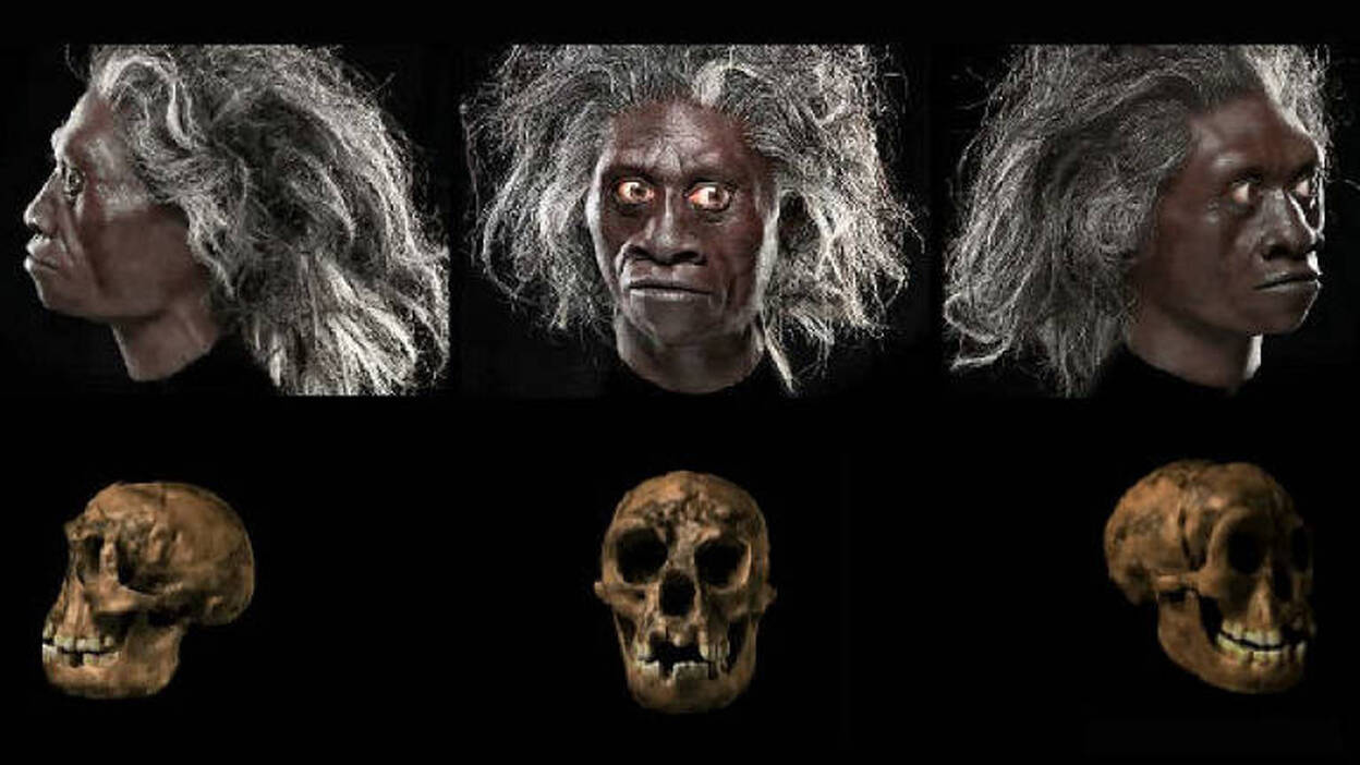 Una nueva investigación niega que el 'Hobbit' tuviera síndrome de Down