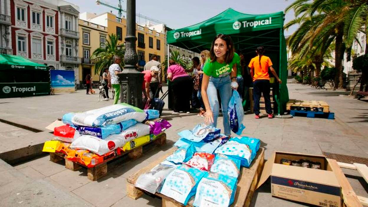 La campaña solidaria 'Echemos una pata' recoge 8.500 kilogramos de alimentos