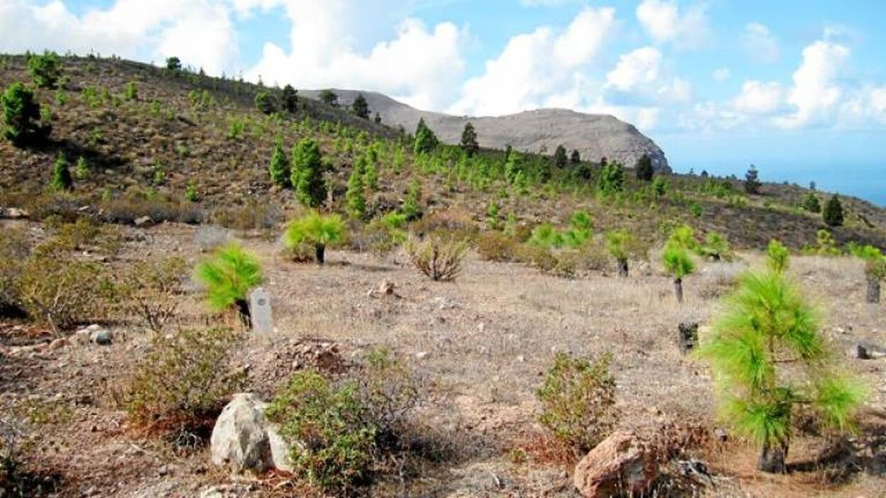 Los montes vuelven a la vida