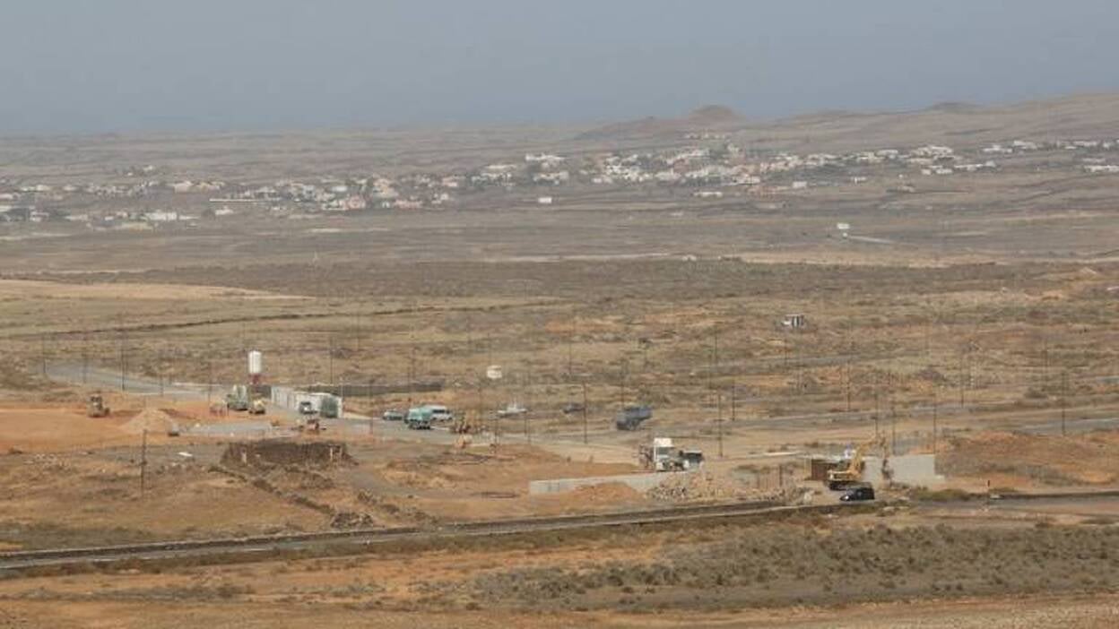 La araña cavernícola peligra por un plan de 2.500 viviendas