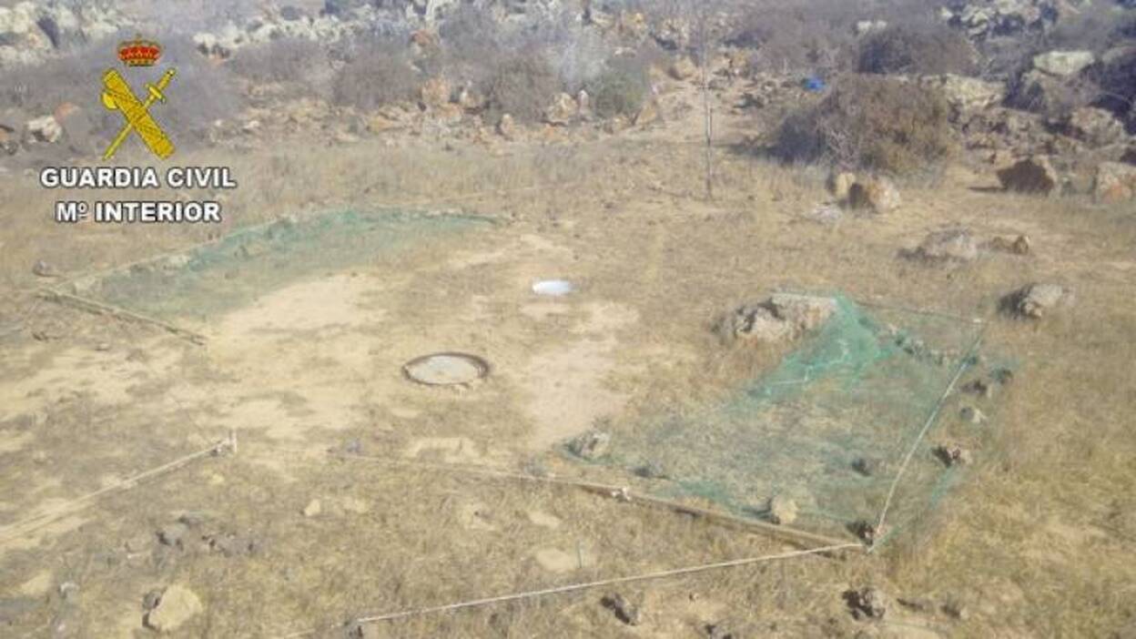 Investigan la colocación de trampas furtivas para la caza de aves en Fuerteventura