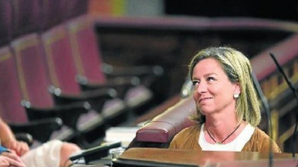 Arranca la agenda Canaria en un congreso a medio gas
