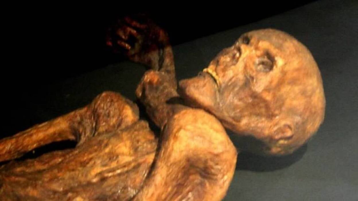 Otzi, el hombre de hielo, murió por un ajuste de cuentas