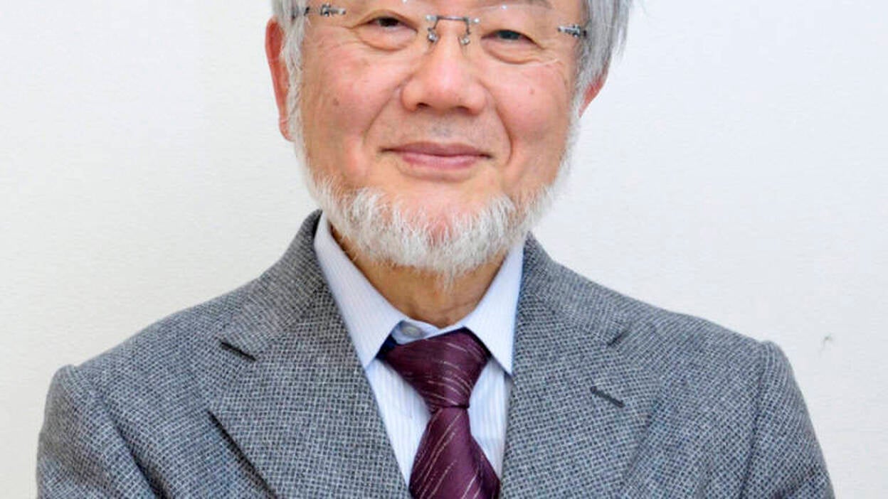 Nobel Medicina para japonés que descubrió el mecanismo de la "autofagia"