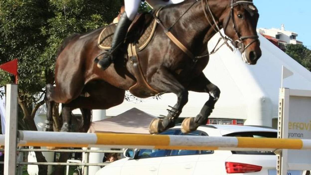 Todo preparado para la 19º edición