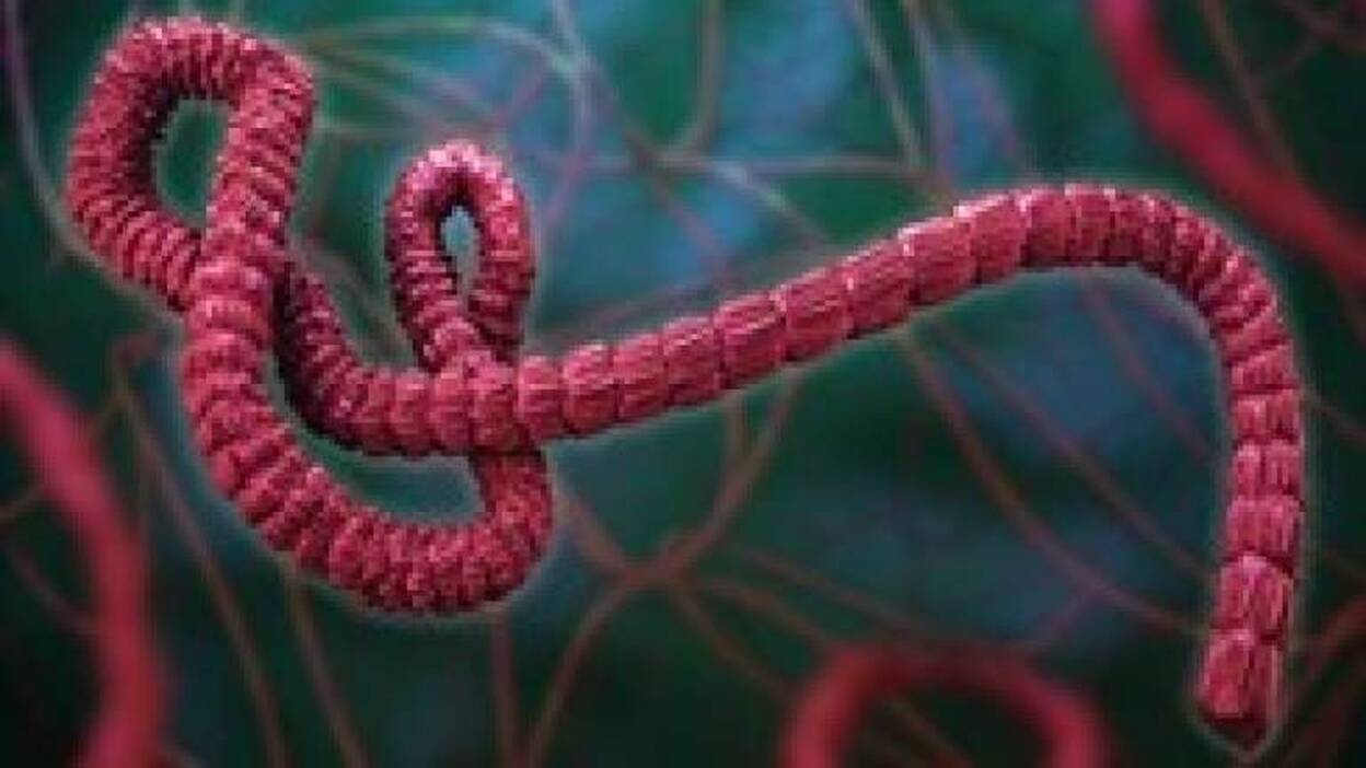 Se confirma la eficacia de la primera vacuna contra el ébola