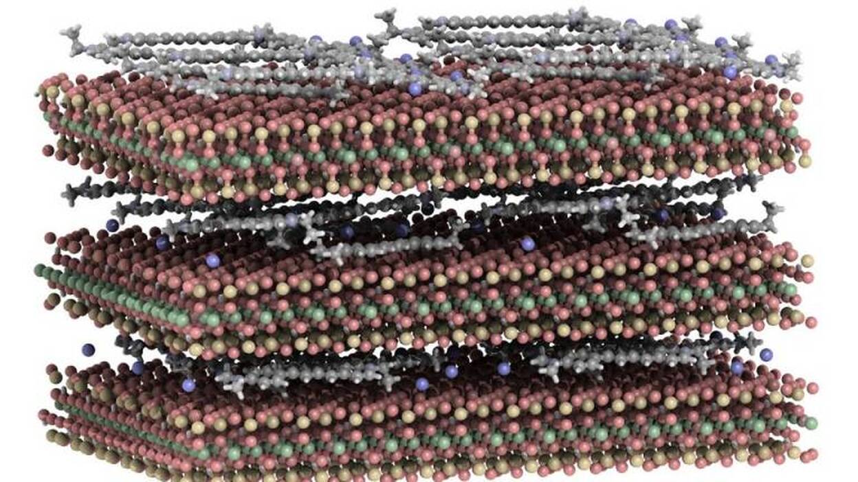 Diseñan nanopartículas estables para la terapia fotodinámica contra el cáncer
