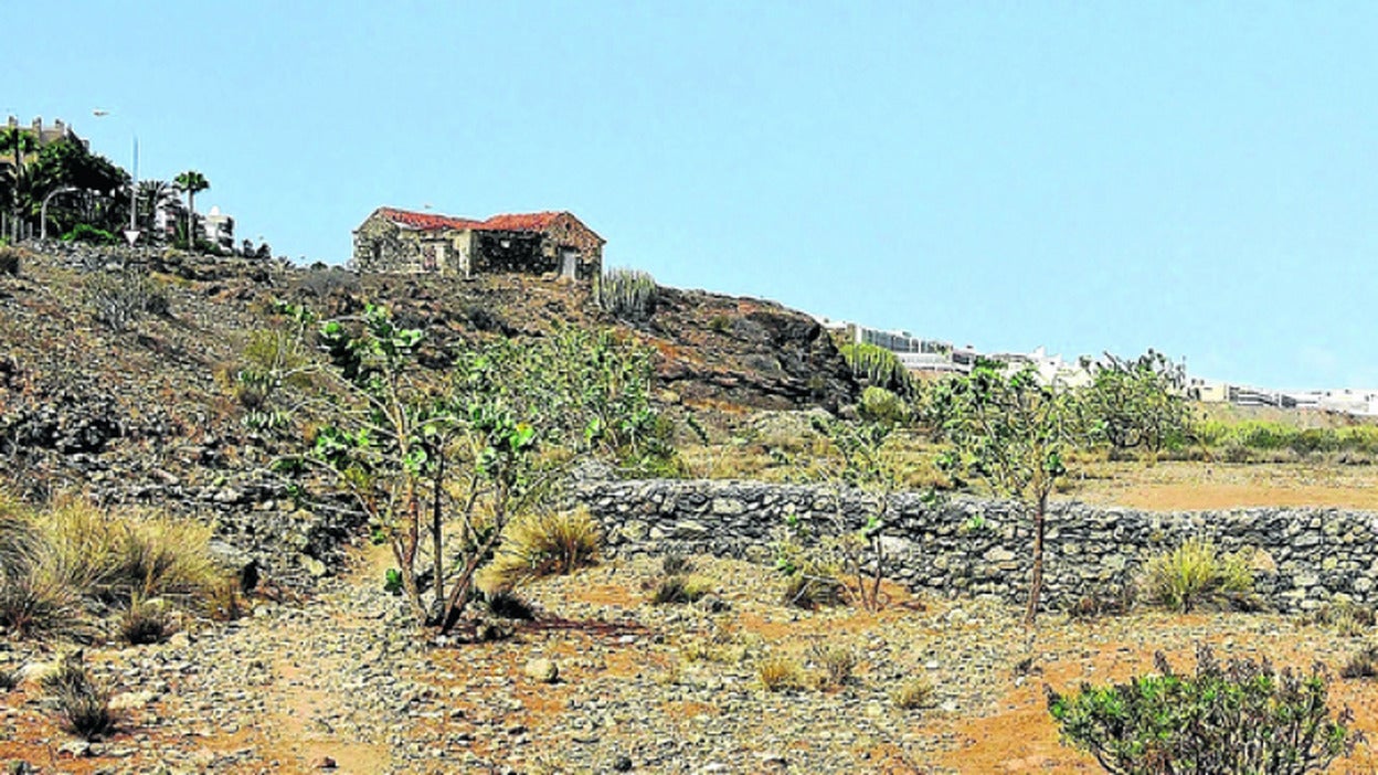 Restos arqueológicos obligan a modificar el Siam Park del Sur