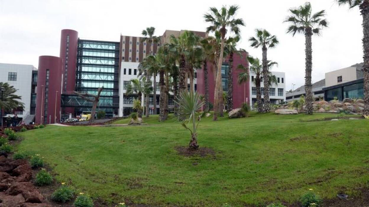 El Hospital Insular-Materno Infantil inaugura un nuevo espacio verde de 2.000 m2