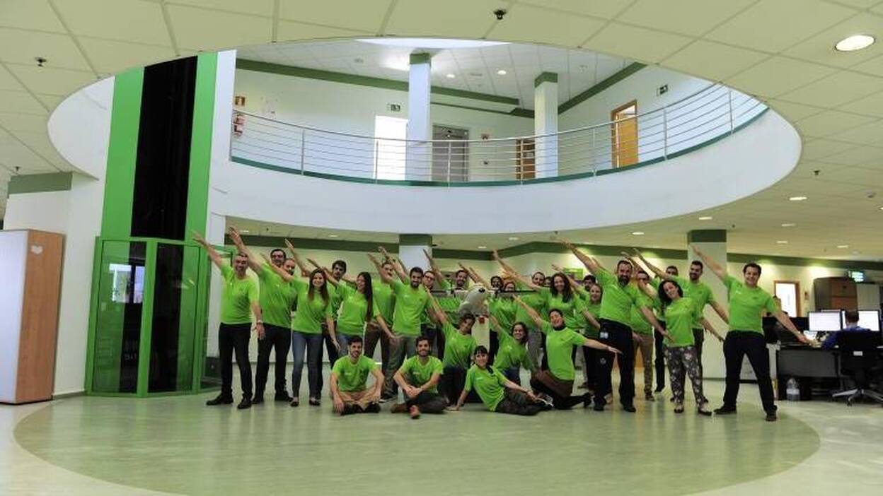 Labor de equipo en buena compañía