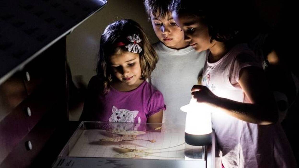 El MNH organiza la acampada infantil 'Pequeñas aves nocturnas'