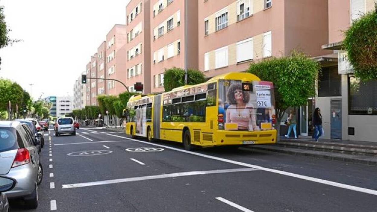 Un vecino incómodo en Siete Palmas