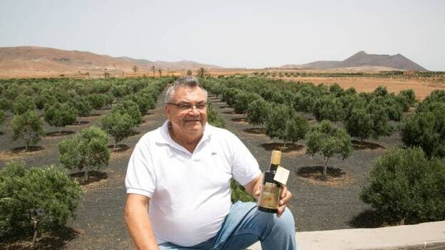 El Teguerey, de Luis Hernández, repite como el mejor aceite de Canarias