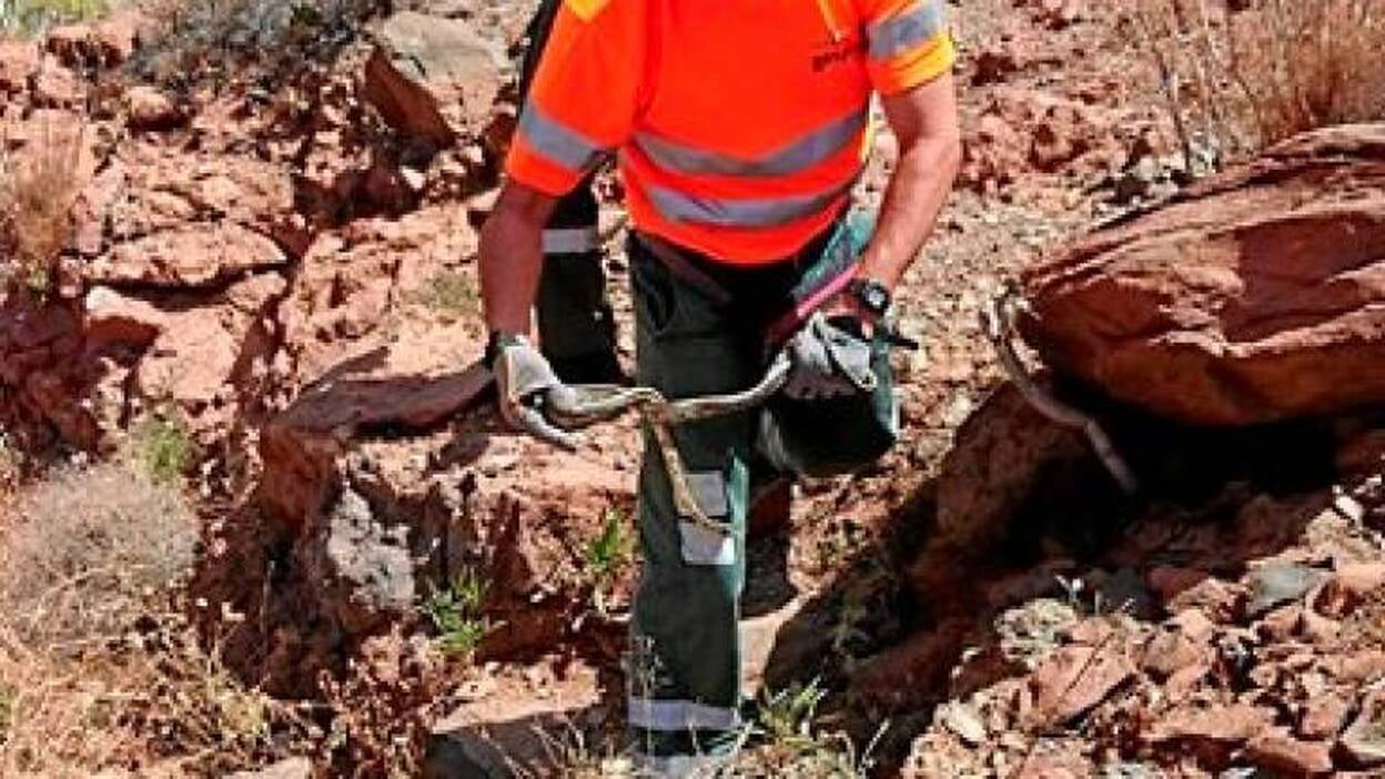 Una californiana en Ayagaures