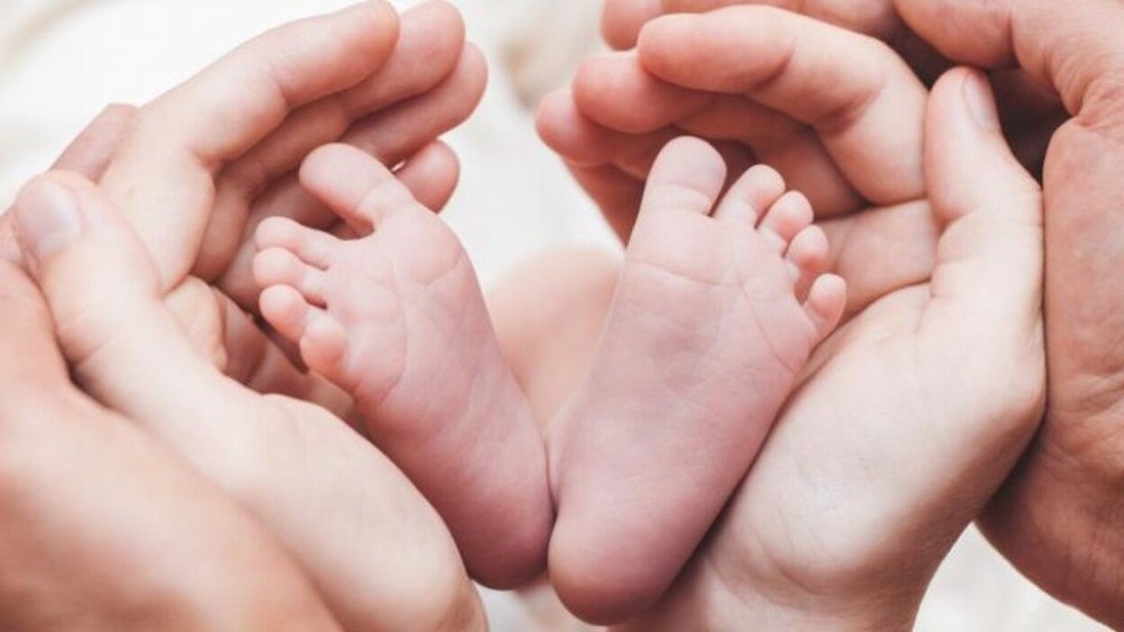 Mil bebés subrogados al año