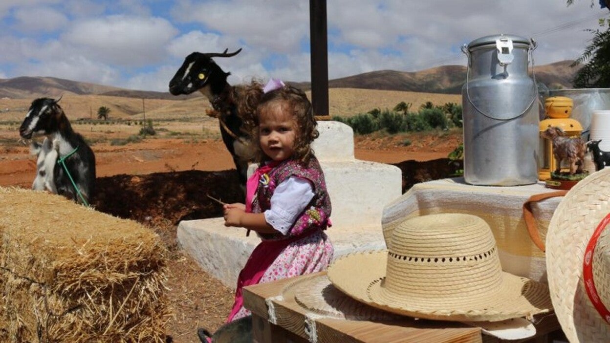 Bailes y comida típica para celebrar el Día de Canarias