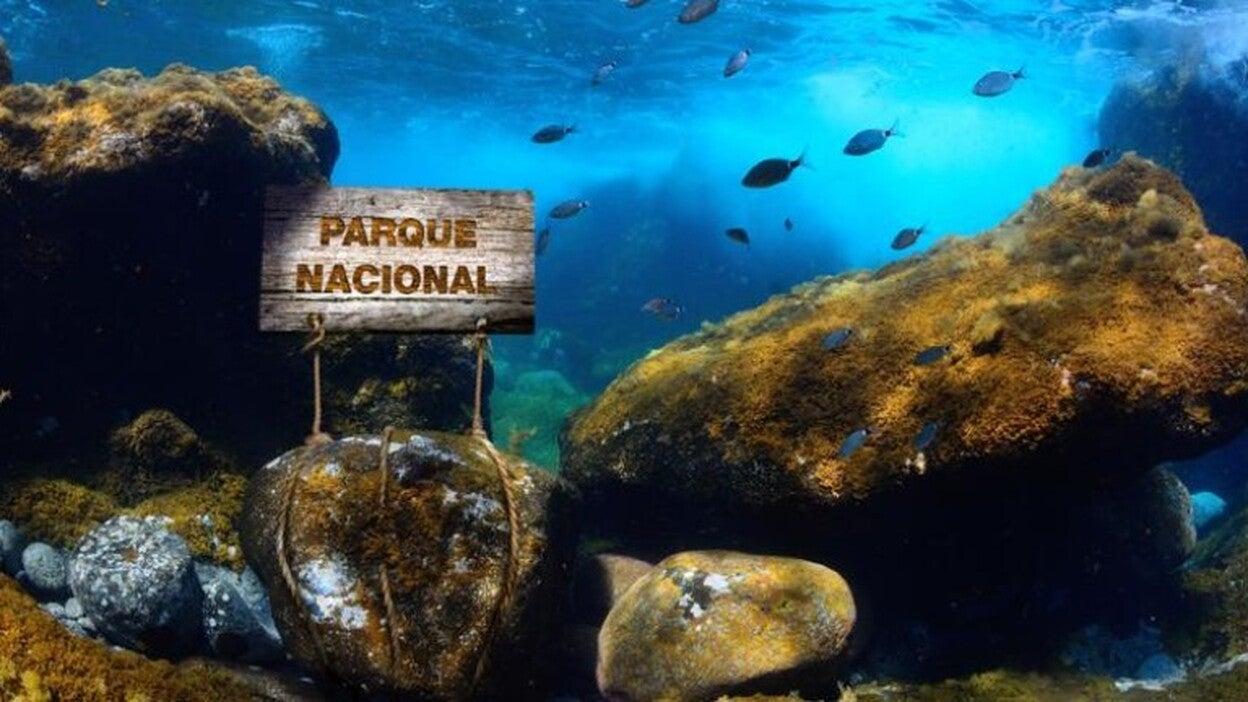 10.000 firmas para el primer Parque Nacional marino de España