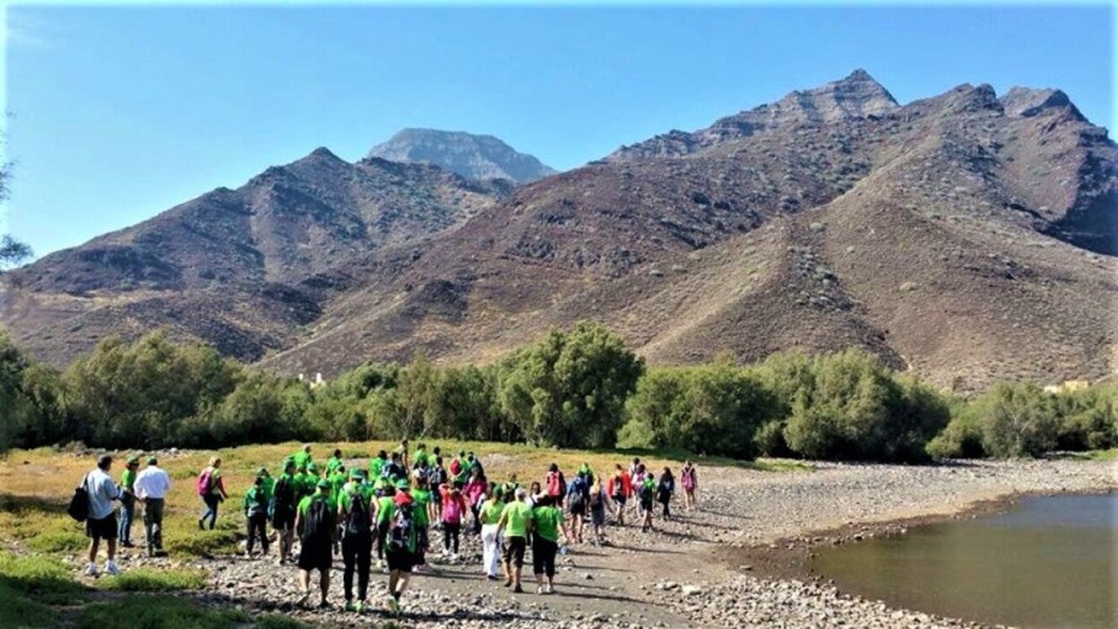 La Aldea propone un centro de interpretación para Guguy