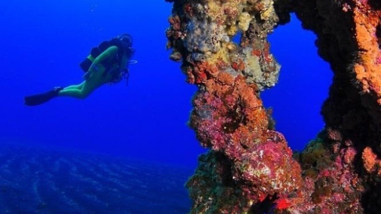 Allende: «Serán los herreños los que decidan sobre el parque marino»