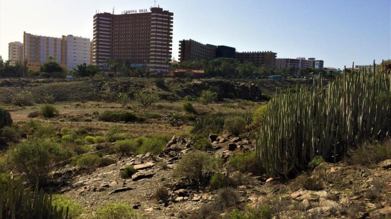 La licencia al Siam Park de El Veril, ocho meses esperando