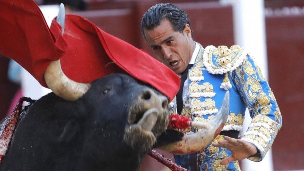 Un toro mata a Iván Fandiño en Francia