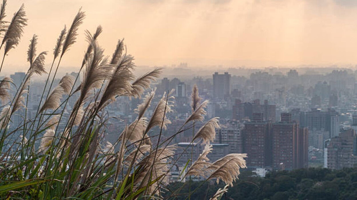 Un hombre mata a tres personas y después se suicida en Taiwán