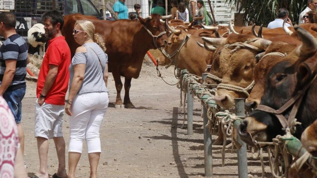 Calor sofocante en las sanjuaneras