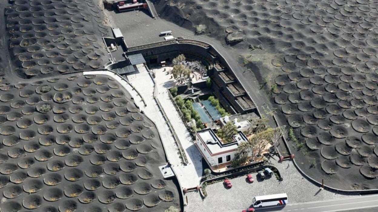 Ordenan reabrir la bodega Stratvs