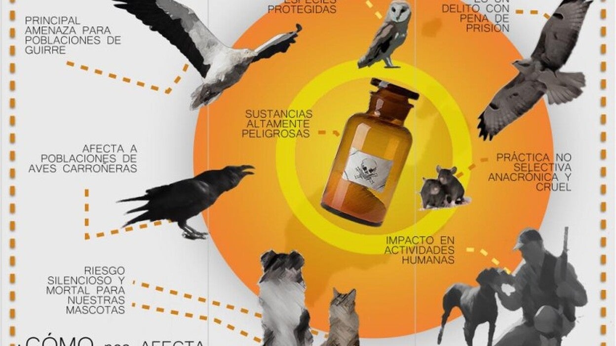 tus cebos matan nuestra fauna