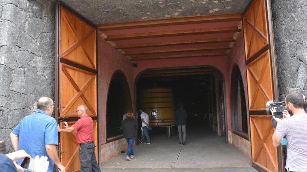 Stratvs estima varios millones perdidos en vino y maquinaria