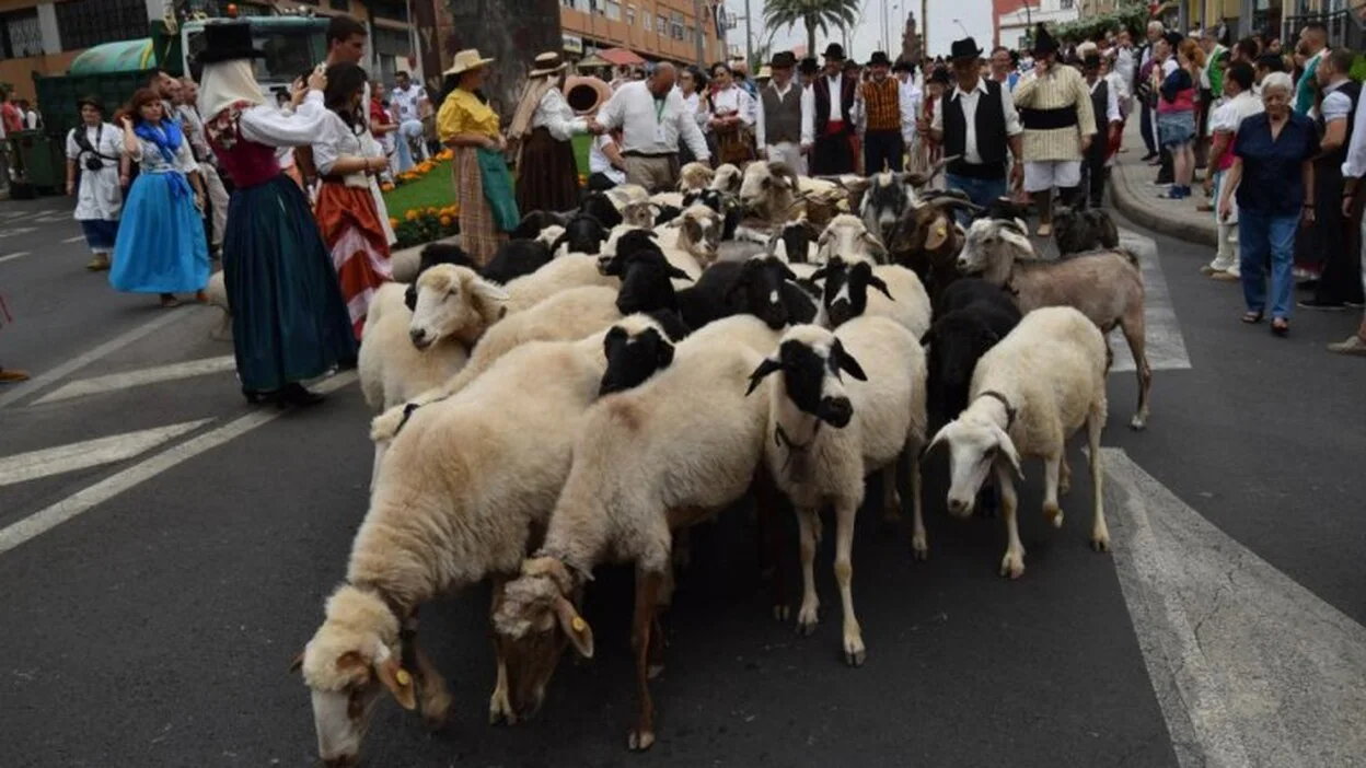 Gáldar  celebra con devoción su romería