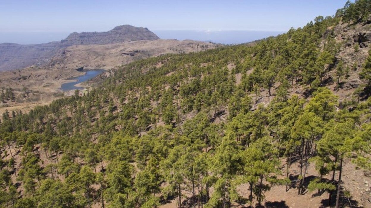 Vuelve el verde, pero con el riesgo de un gran incendio en el norte