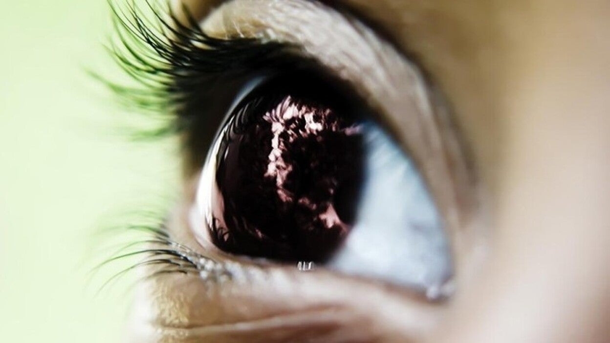 Un ácaro responsable de algunos tumores malignos del párpado