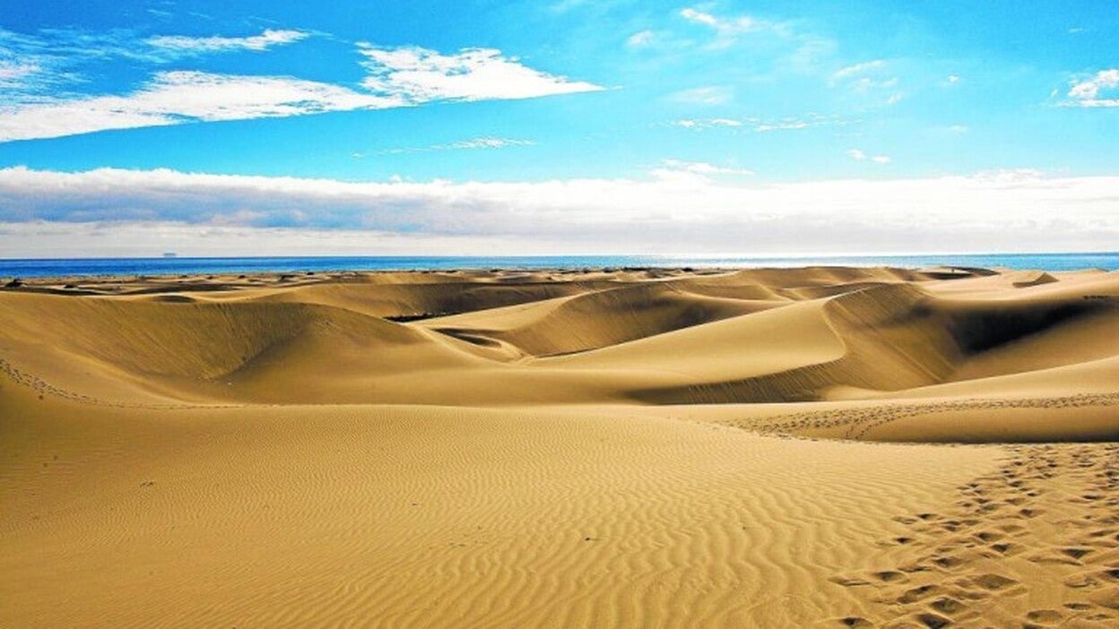 El Cabildo creará otro órgano para sustituir a la junta de las Dunas