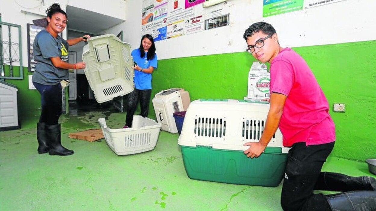 Ayuda a los amigos de cuatro patas